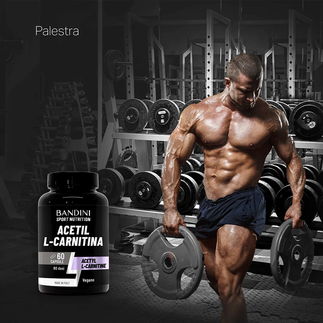 l-carnitine androgen receptor upregulation mechanism Acetil L-carnitina pode proteger o seu cérebro! main image 1