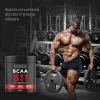 Bcaa 8 1 1 500 Cpr It.pt02