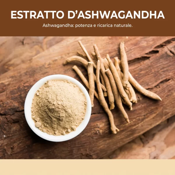 Ashwagandha 60 Capsule.pt01
