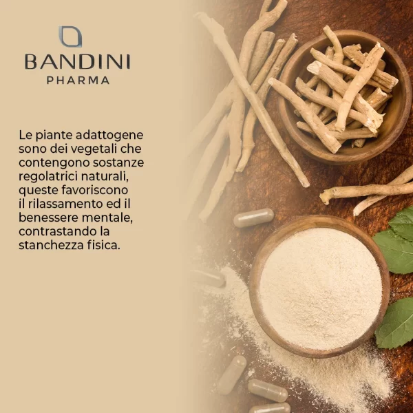Ashwagandha 60 Capsule.pt04