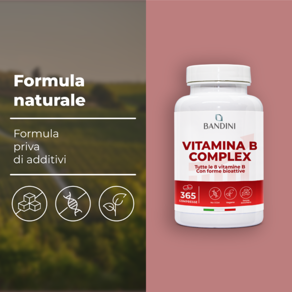 Vitamina B Complex 365 Compresse.pt04