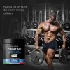 Creatina Creapure 300 Grammi It.pt02