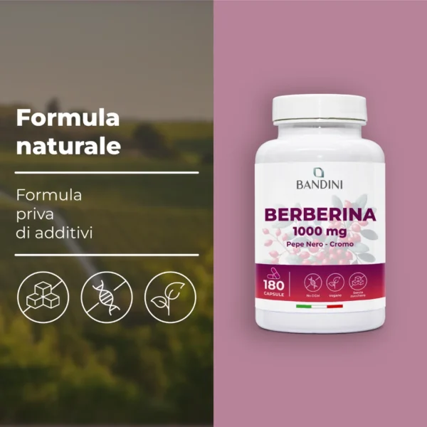 Integratore di Berberina