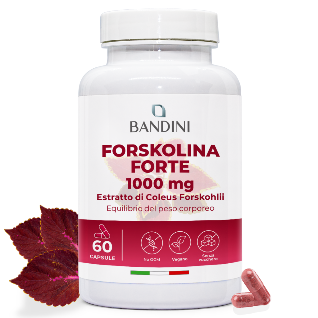 Forskolina – 60 capsule