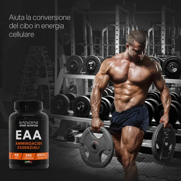 Eaa Aminoacidi Essenziali In Compresse 240 Compresse It.pt02
