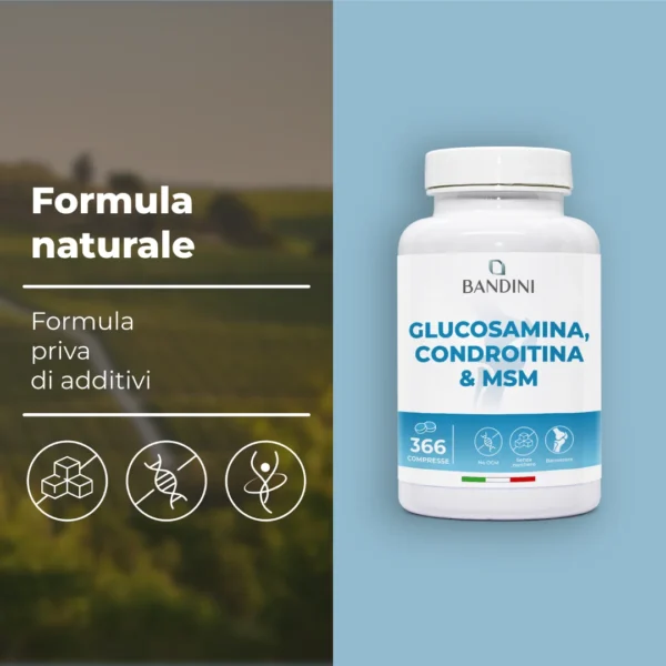 Glucosamina 366 Cpr.pt03
