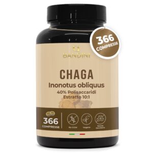 Chaga 366 Compresse