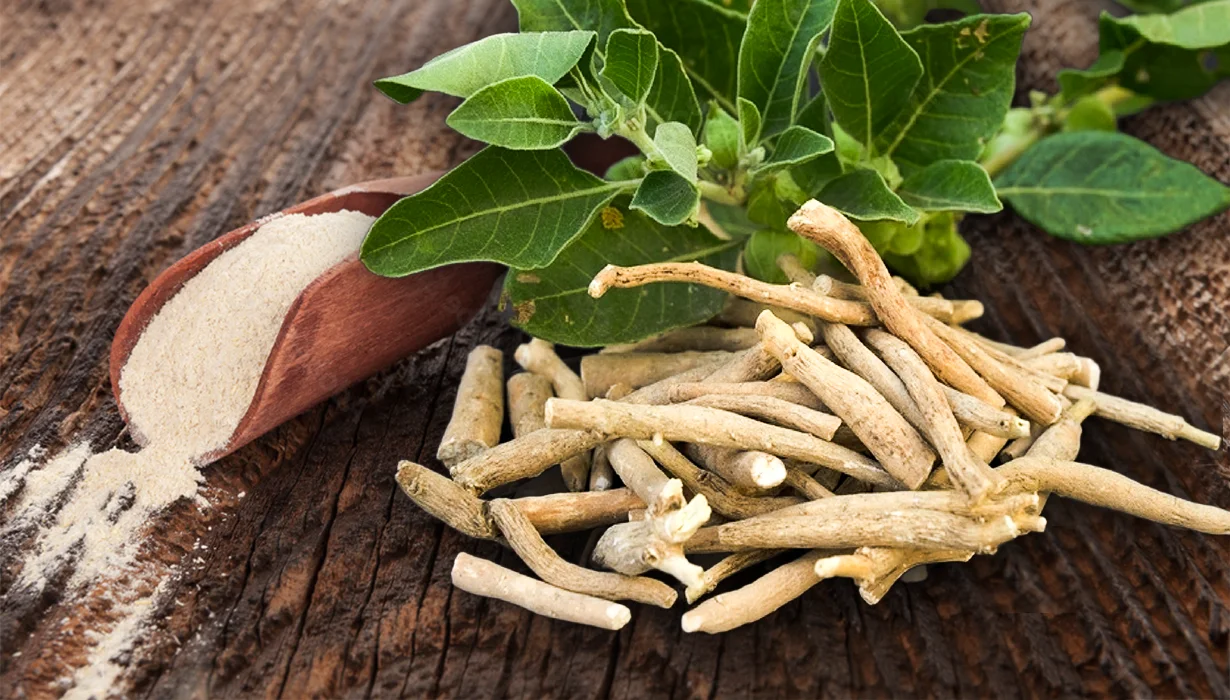 Ashwagandha_beneficios
