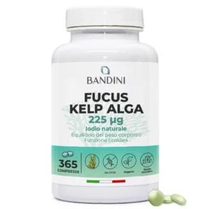 Fucus