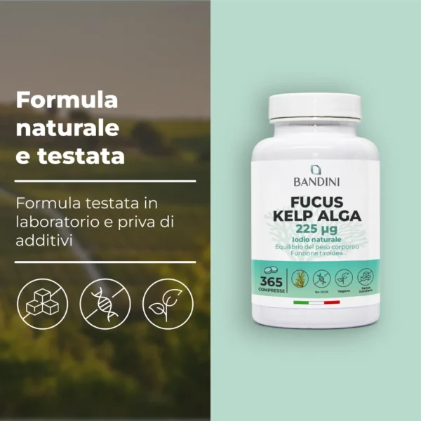 Fucus Kelp Algae 150 Mcg It.pt03