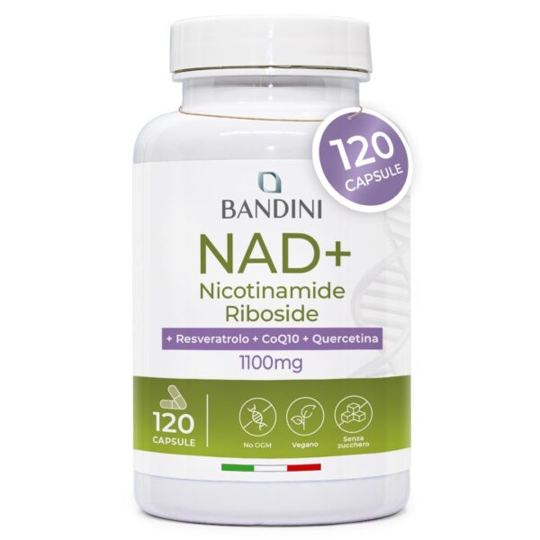 NAD+ Liposomiale – 120 Capsule