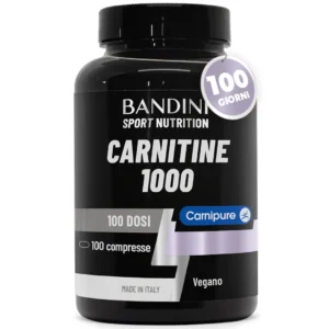 Carnitina 1000 100