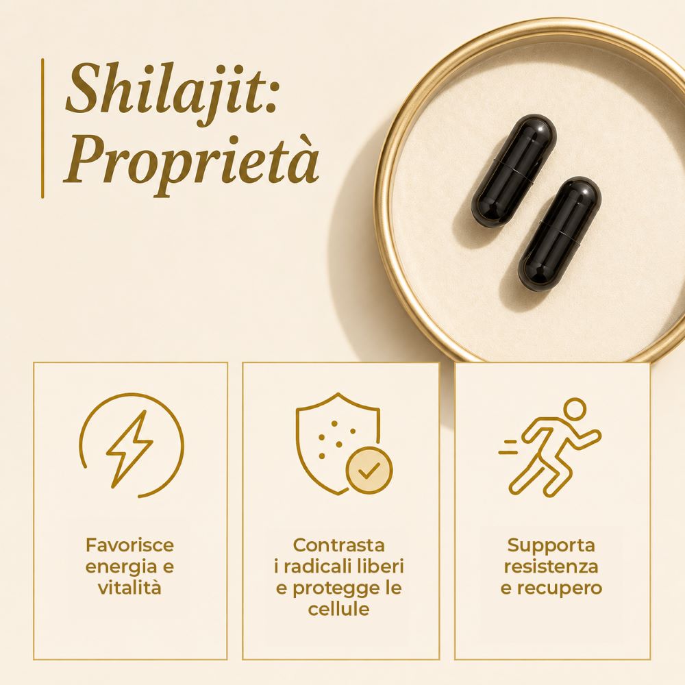 Shilajit Benefici