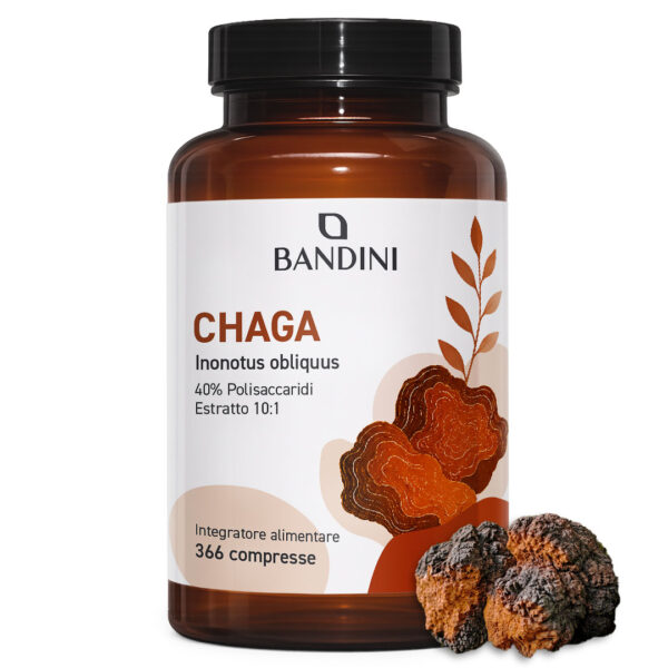 Chaga – 366 compresse