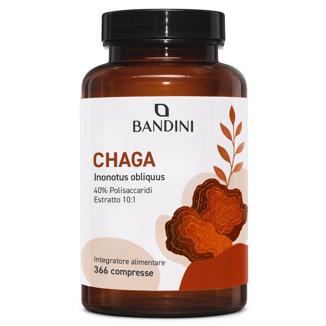 Chaga 366 compresse BANDINI main