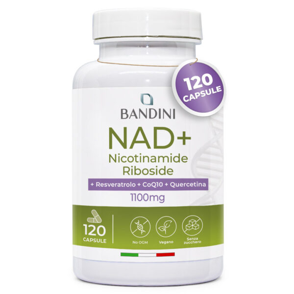 NAD+ Liposomiale – 120 Capsule