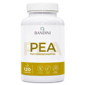 PEA 120 capsule BANDINI main