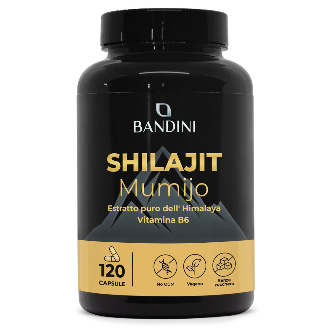 Shilajit 120 capsule BANDINI main