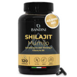 Shilajit 120 capsule BANDINI main