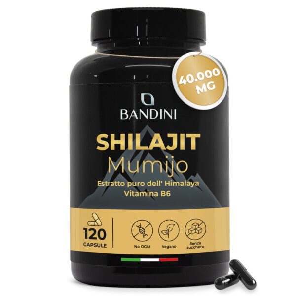 Shilajit – 120 capsule